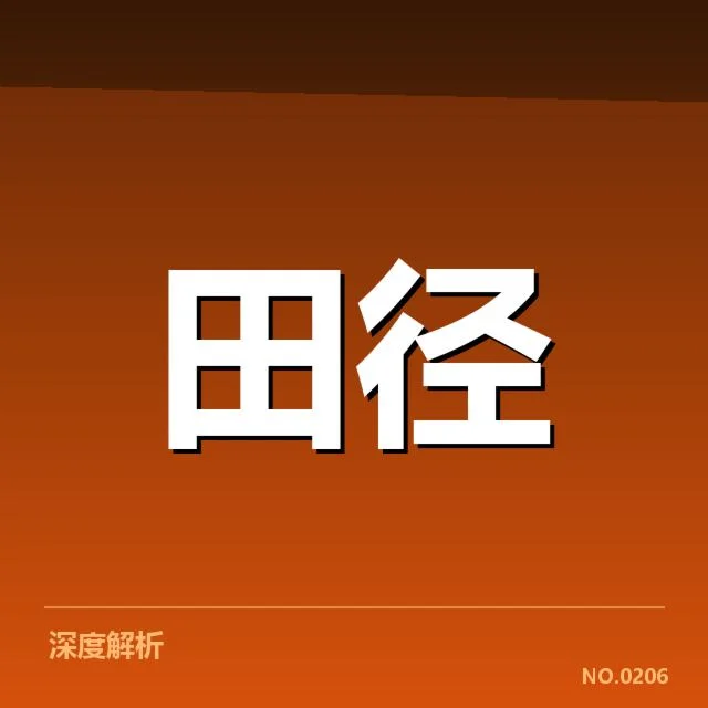 已经确认的队伍成员和比赛安排